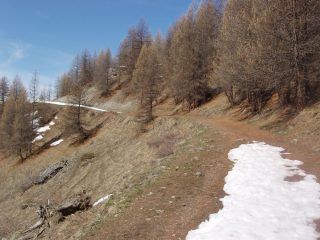 I 50m di gava-buta