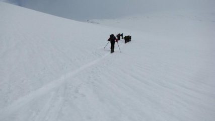 si procede contro un vento furibondo