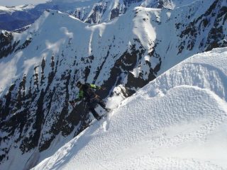 flyzone