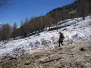 pendii con valanghe poco sopra la Balmetta 1515 m. 