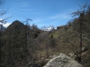 Bec di Mea