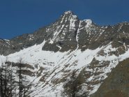Zoom sulla Lavina