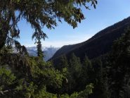 panorama sul Cervino dal bosco intermedio