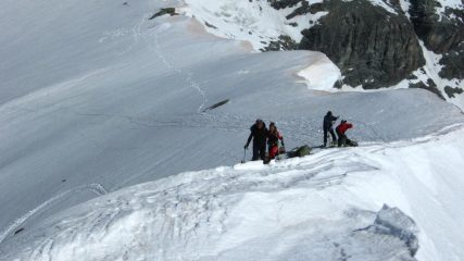 Amici in arrivo.....