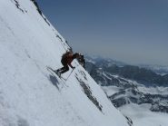 instancabile lavoratore...