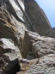 salendo il tiro di Principe delle volpi