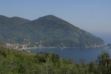Levanto