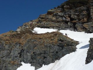 il fetente passo Marani