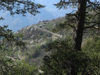 Echallogne