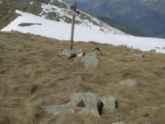 Triangolino di vetta del Gregorio