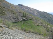 L'Alpe Bitogno di Vico e Le Colme