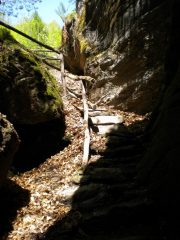 ingresso orrido sudi