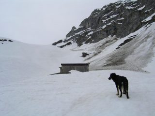 Pucci arriva alle malghe...