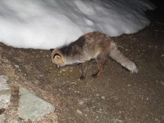 un bellissimo incontro