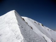 quasi in cima