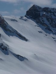 Questiqui devono essersi divertiti un sacco...