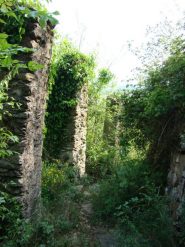 Sentiro delle vigne a Bajo