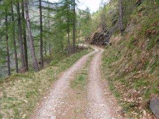 Sterrata di rientro in valle Infernotto