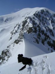 dalla vetta, Pucci osserva la Cima di San Lorenzo....