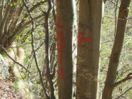 Indicazioni su alberi