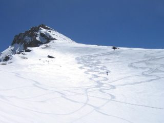 Farina...