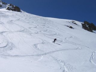farina 15cm