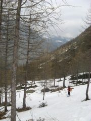 bosco, sotto i 1700 al limite