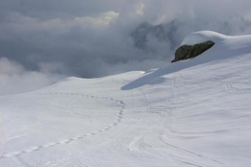 Tracce della discordia...