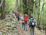  lungo i sentieri della serra di Ivrea