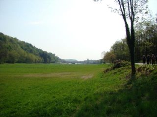 verso Zimone