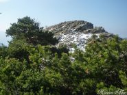 La cima del Monte Corto