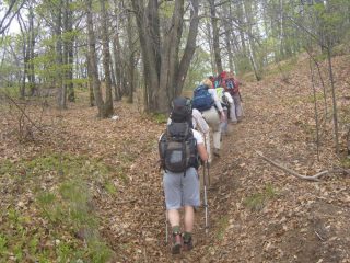 dentro al bosco...
