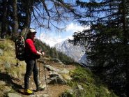 salendo nel bosco verso l'Alpeggio Berrier