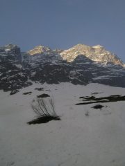 Eccolo, lungo conoide