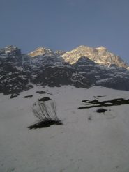 Eccolo, lungo conoide