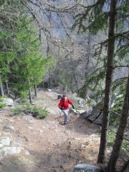 in salita superato il tratto boschivo