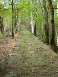 la mulattiera di salita