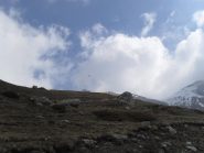 un aquila in volo sopra il lago
