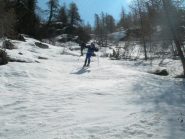 nel canale nel bosco