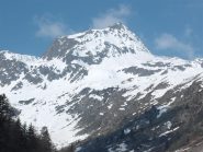 il beccas da San Bernolfo