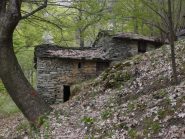 l'alpe trempia 'd varsiniasi 1184m