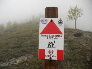 quasi arrivato