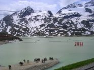 Giugno 2010 - Il Sassal Mason abbellito dall'ARK SOUND