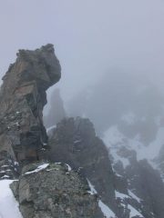 Arriva la 