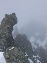 Arriva la 