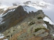 colle sià dalla merola