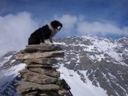 Jolie con vista Ferra