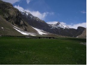 La Guglia di Bonale' da Les Ecules