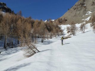 Inizia la neve.