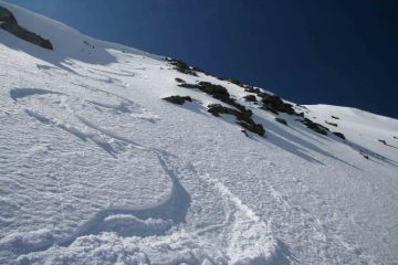 Le prime splendide curve